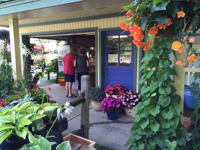 Brandon Farmers Market