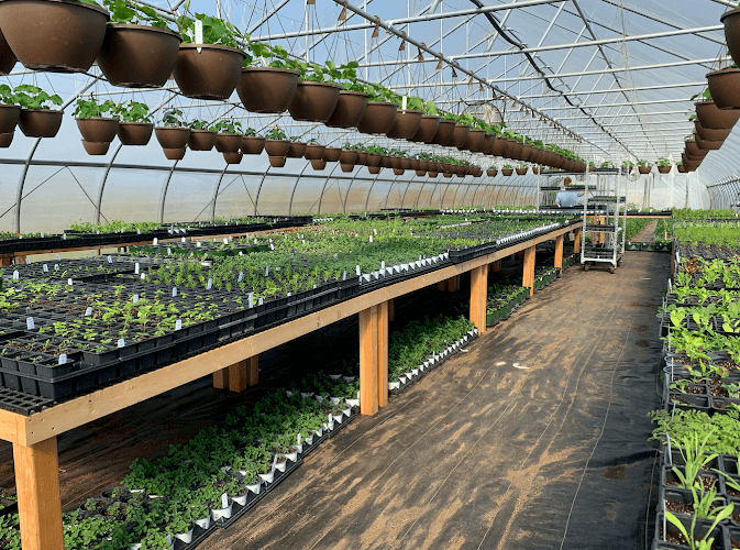 Bear Creek Farmers Market