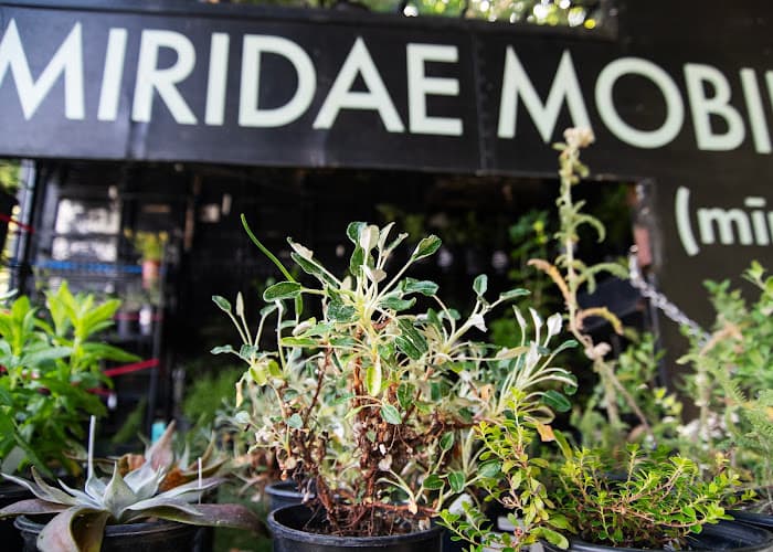 Oak Park Farmers Market