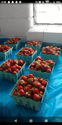 Doylestown Farmers Market