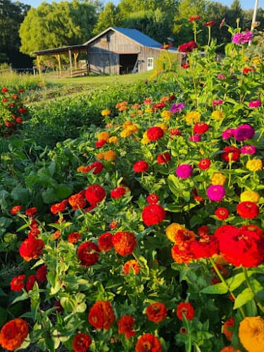 Hunting Grower's Market