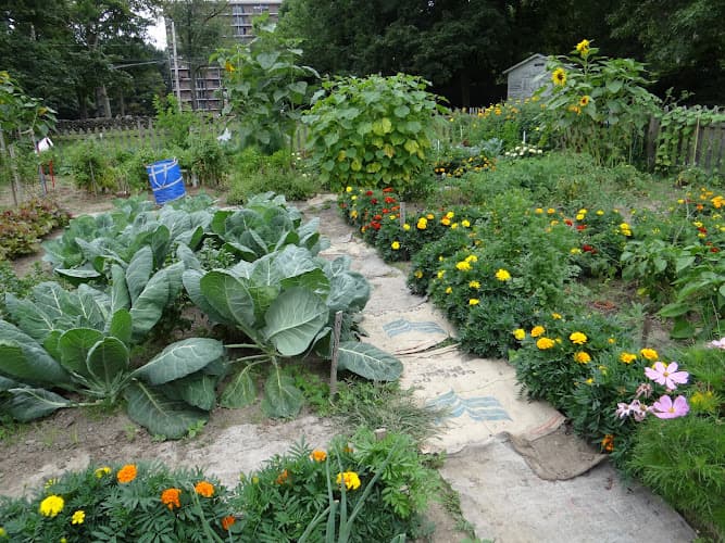 Summit Lake Neighborhood Farmers' Market