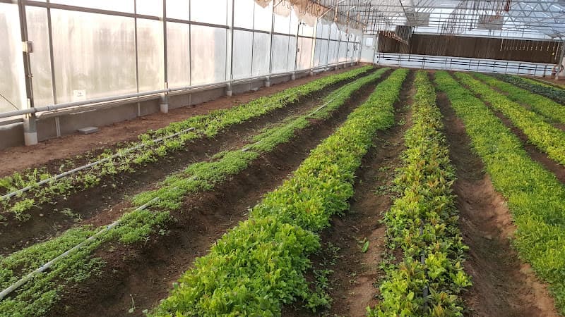 Eagle Springs Organic Farmer's Market at Eagle Springs Crossing