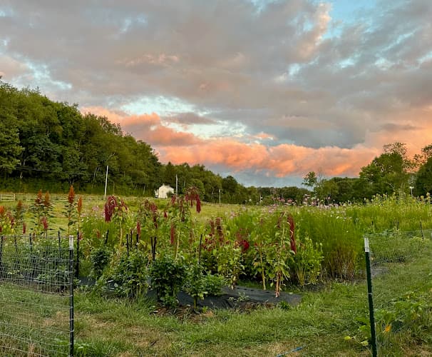 Farrell Farmers Market