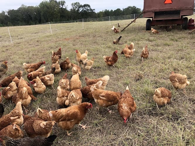 Greenway Farmers Market