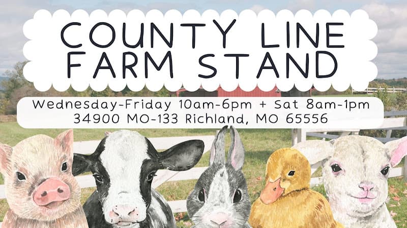 Better Lives Today Farmers' Market