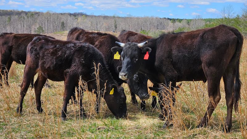 Church + Main Market