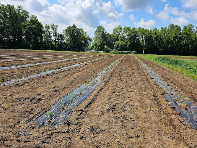 Knox County Farmers Market