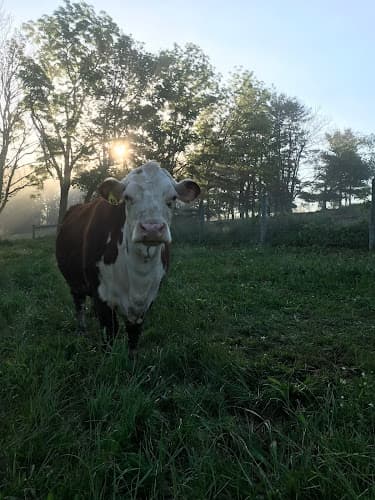 Indian Valley Farmers' Market