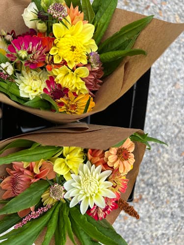 Northeast Georgia. Locally Grown.net - Habersham County site