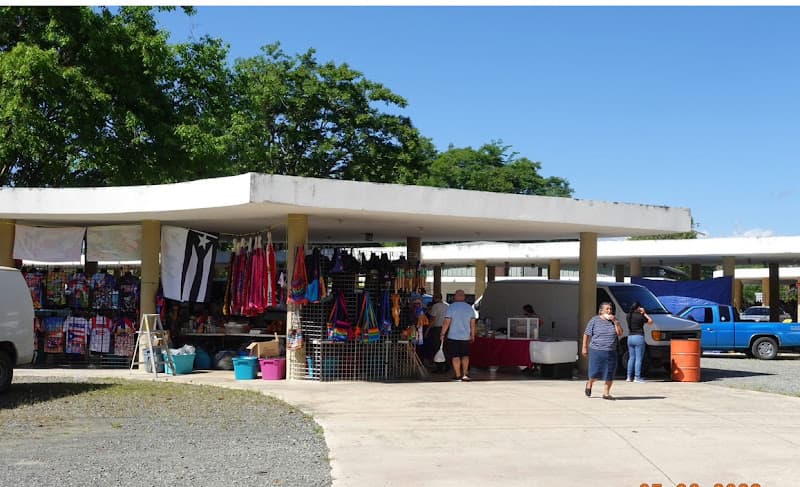 Centro Agropecuario de San Sebastian Puerto Rico (ADEA)