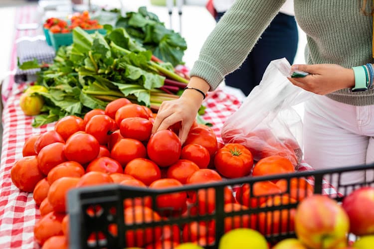 Cambridge/Kendall Square Main Street