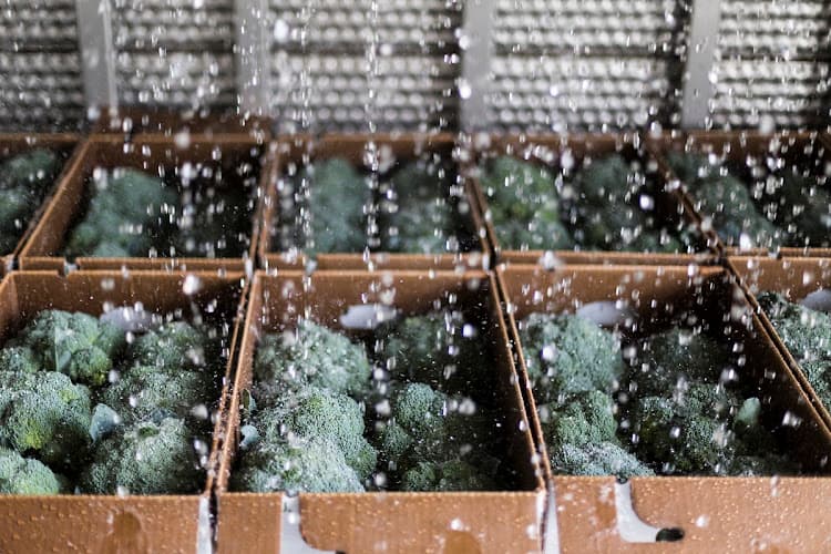 Common Ground Marketplace