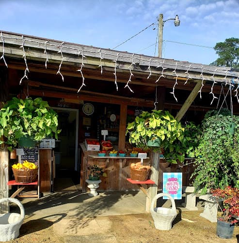 Hawkinsville River Market