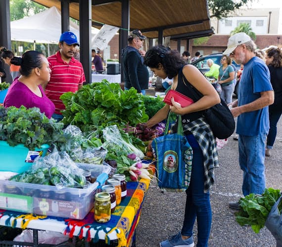 Harlingen Farmers Market