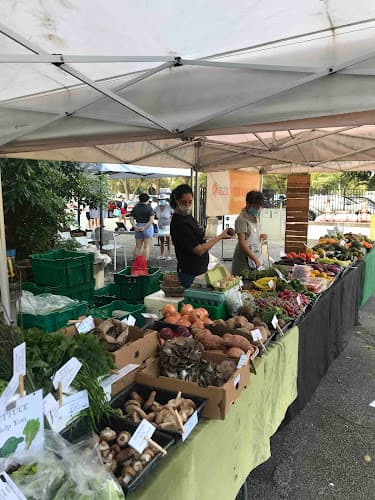Coral Gables Farmers Market