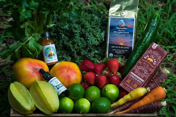 Adaptations' Fresh Feast