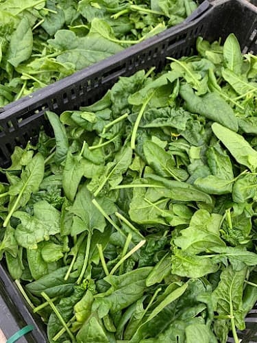 Kennett Square Farmer's Market