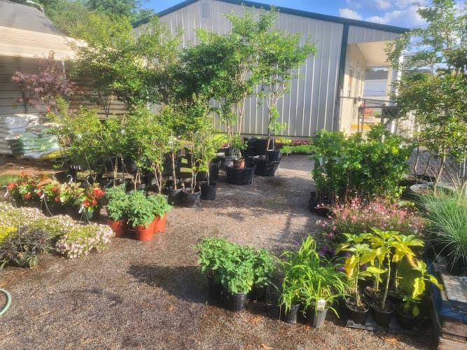 Cypress Center Farmers' Market