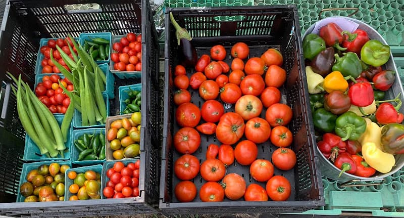 Eldon Farmers' Market
