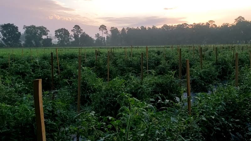 Union County Farmers Market
