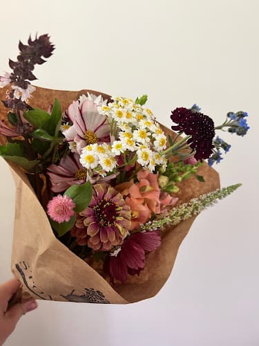 Christian County Farmers' Market