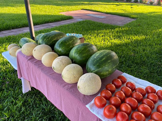 Cochran Farmers Market