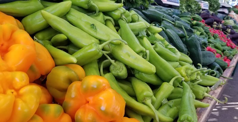 Pasadena City Hall Wednesdays (Summer Evenings)