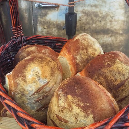 Cedar City's Downtown Farmer's Market