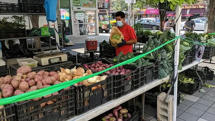 175th Street Greenmarket photo 2