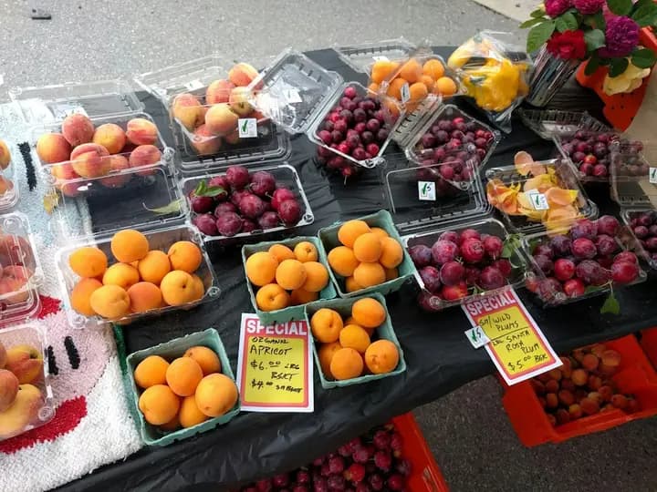 Abbotsford Farmers Market