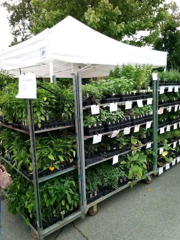 Acworth Farmers Market photo 2
