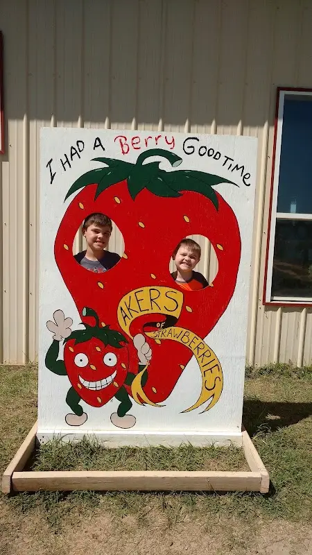 Akers of Strawberries photo 2