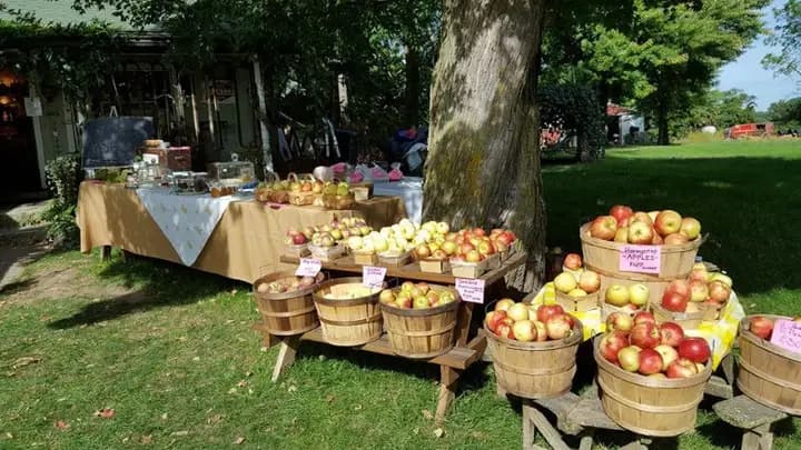 Almont Farmers' Market