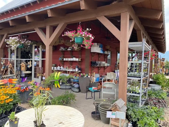 Alpha Nursery Farmers' Market