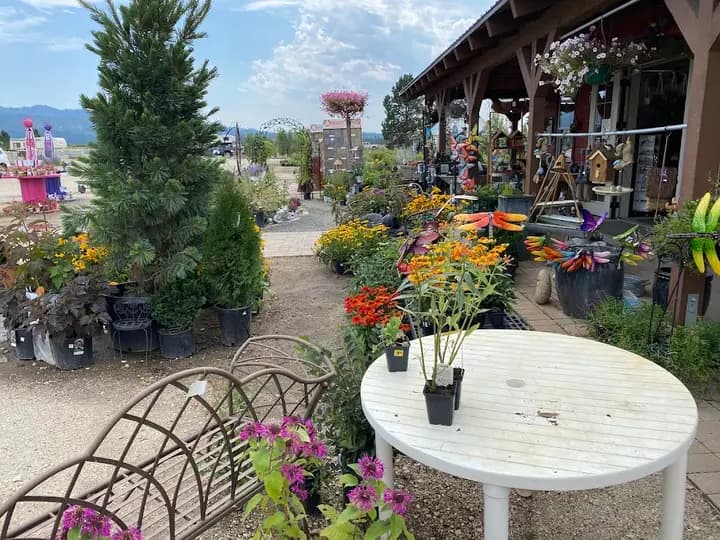 Alpha Nursery Farmers' Market photo 2