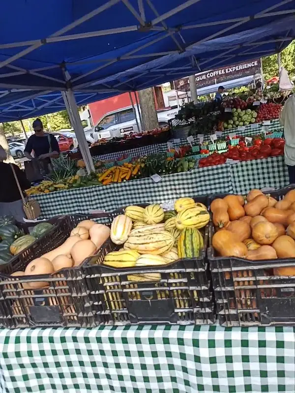 Annandale Farmers Market photo 2