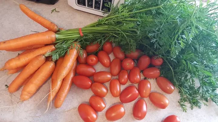 Anoka County Growers/ St. Timothy Church Blaine