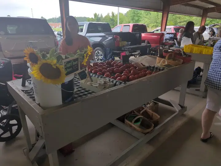 Anson County Farmers Market photo 2