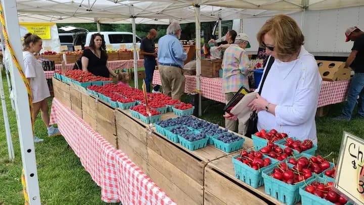 Arlington Farmers Market photo 2