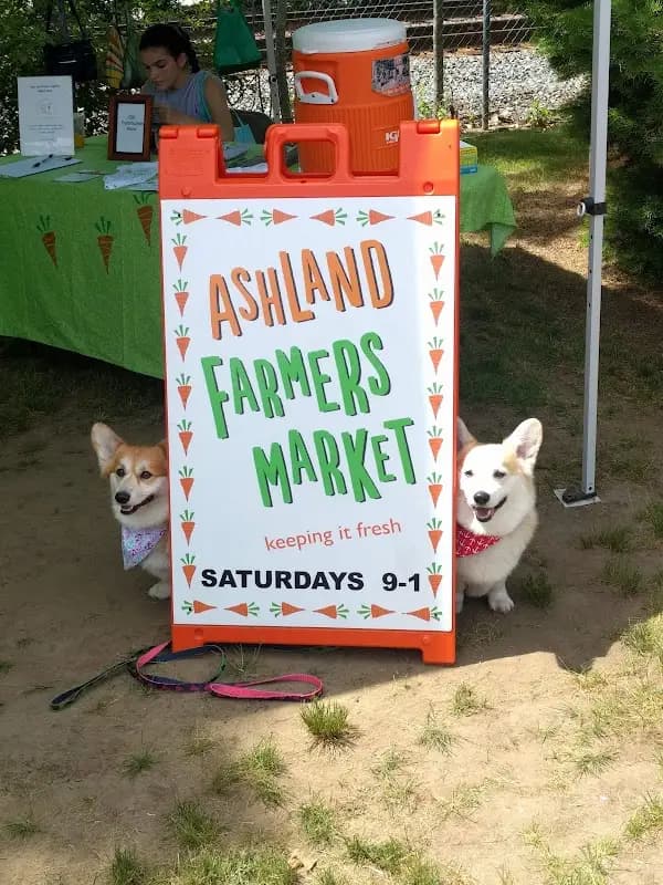 Ashland Farmers Market photo 2