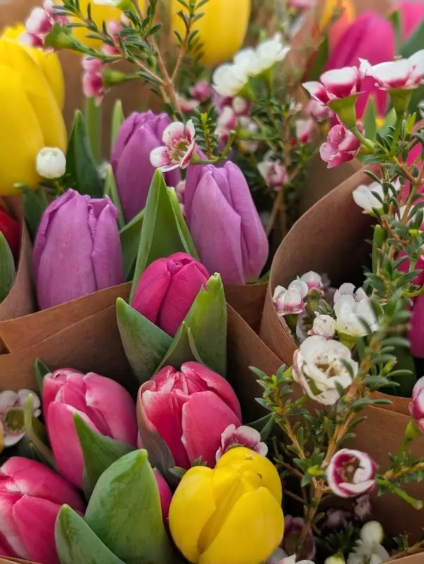 Ashland Farmers Market