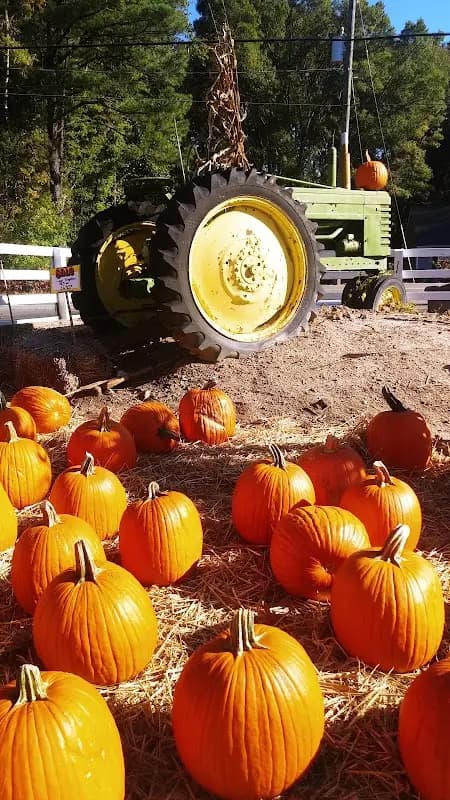 Ashland Farmers Market photo 2
