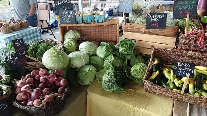 Athens Farmers Market, LLC