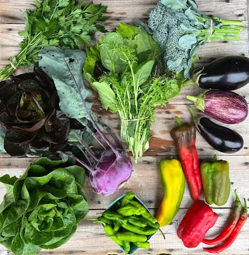 Ausable Valley Farmers Market