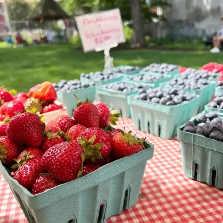 Ballston Spa Farmers Market