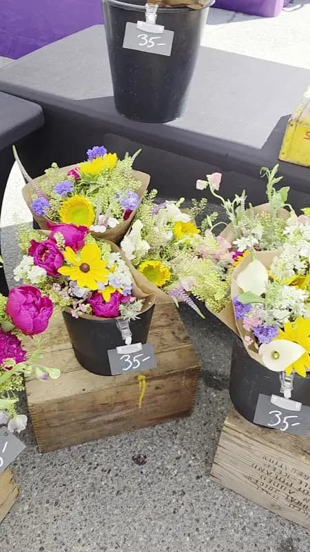 Bar Harbor Eden Farmers' Market photo 2