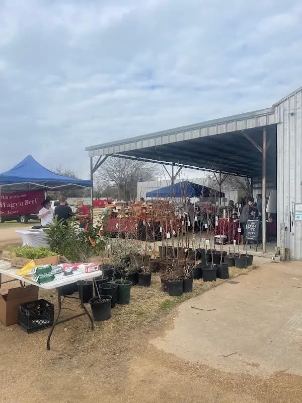 Bastrop 1832 Farmers Market photo 2