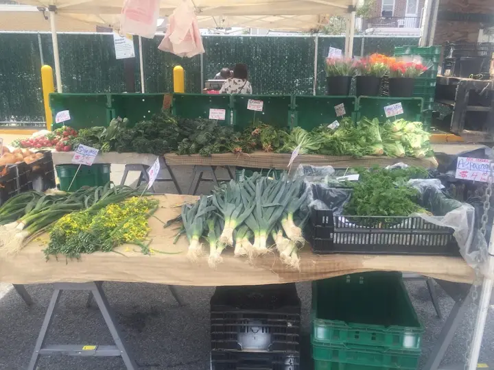 Bay Ridge Greenmarket photo 2