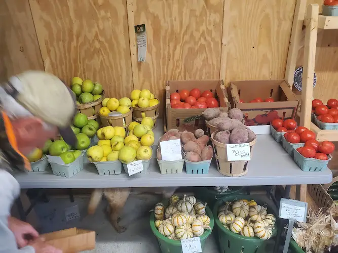 Bayside Harvest Market